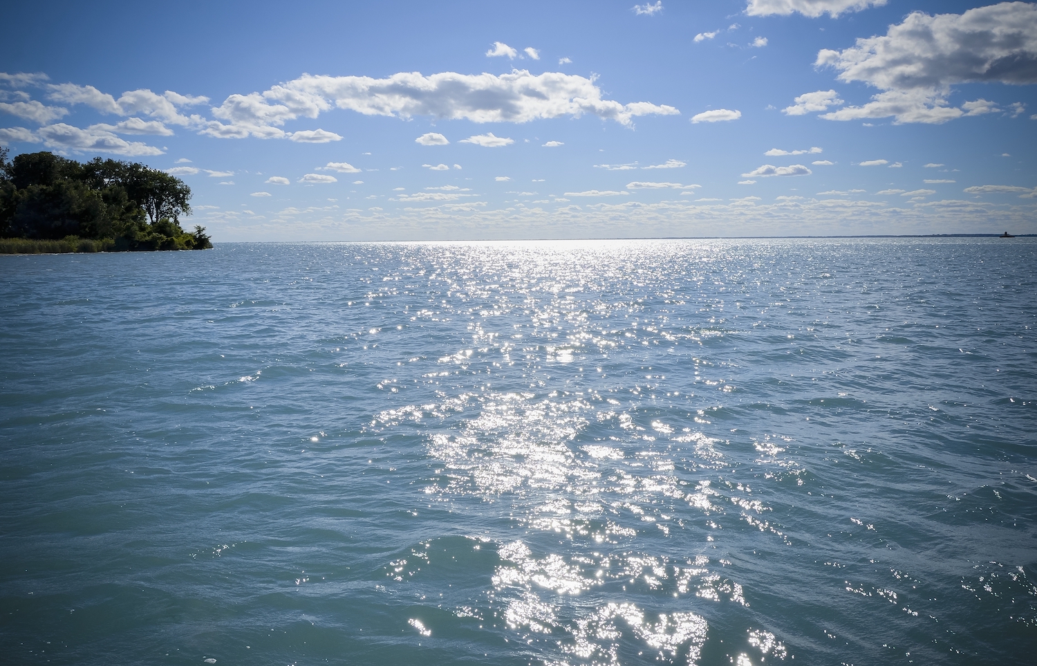 Picture of a lake or pond